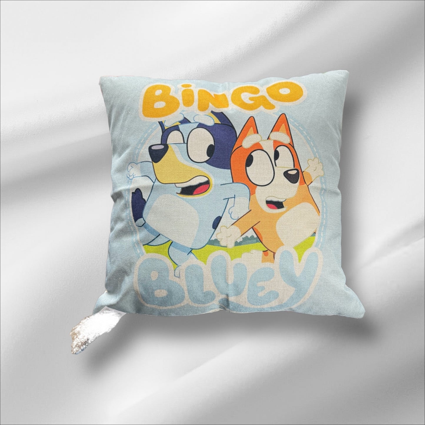 Cushion