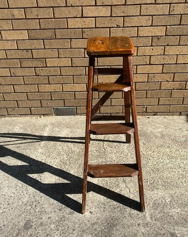 Rustic Ladder