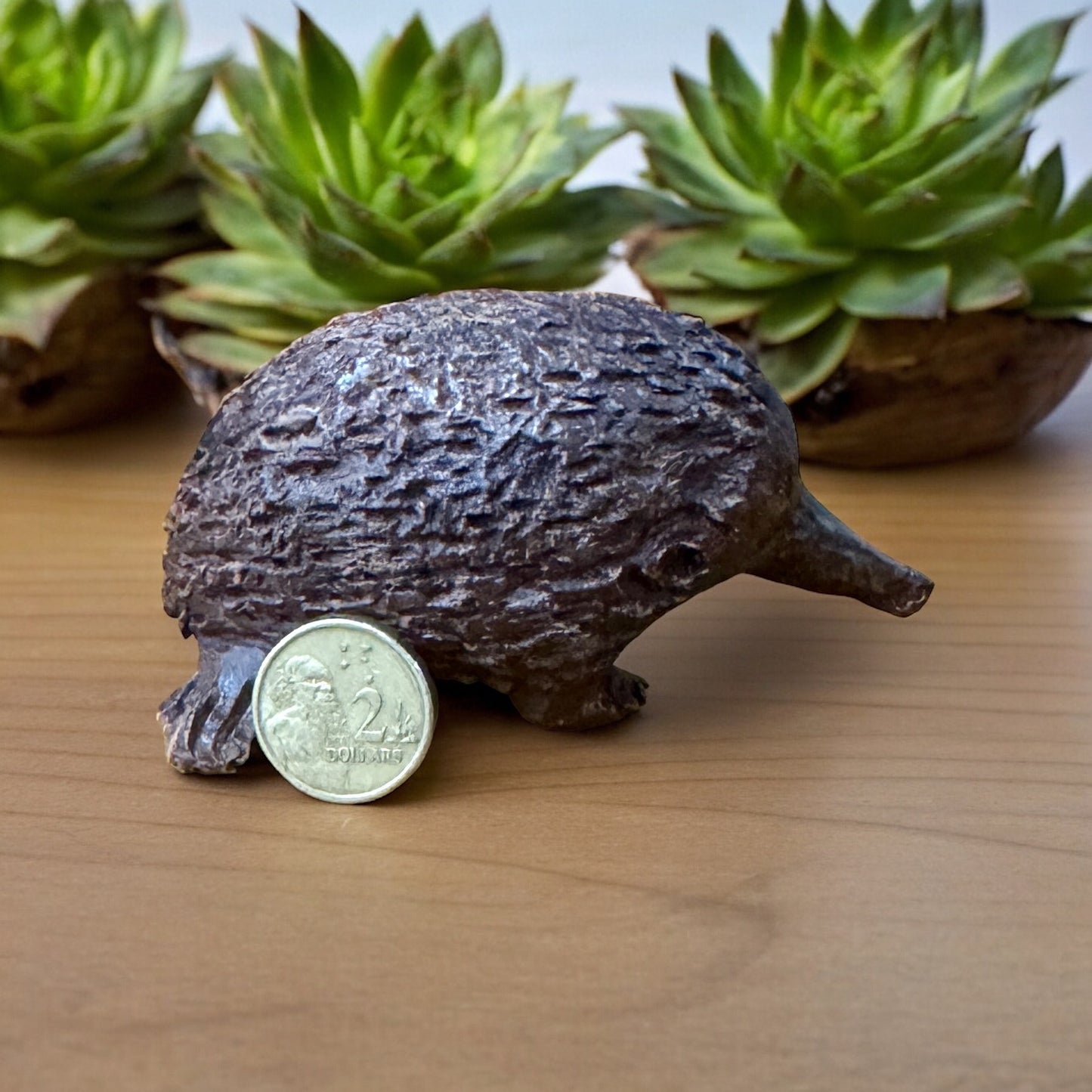 Signed Wooden Carved Echidna