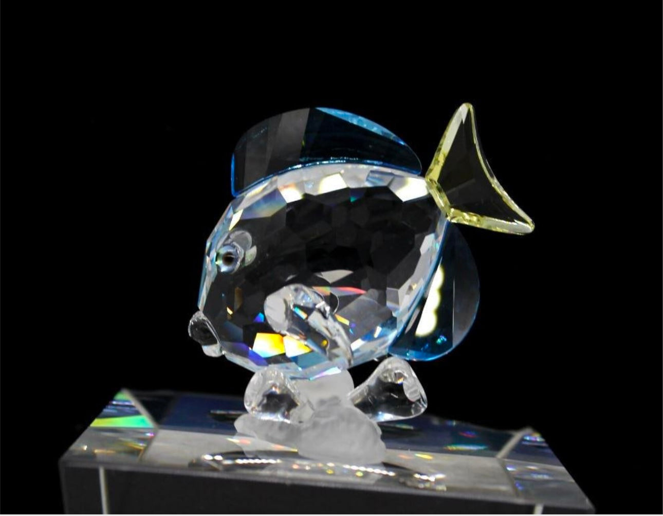 Swarovski Crystal Blue Tang Fish W/t Box