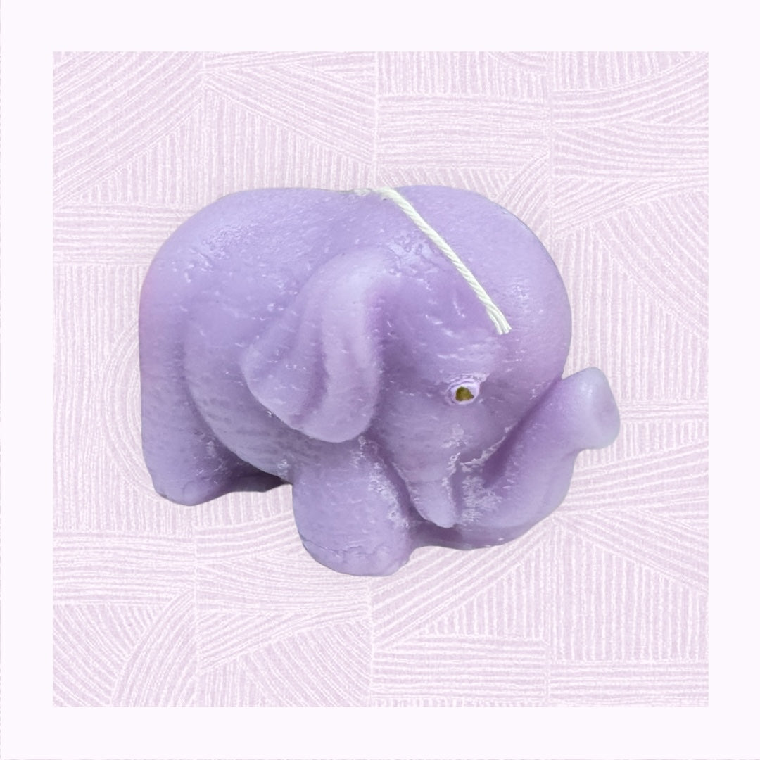 Cute Animal L