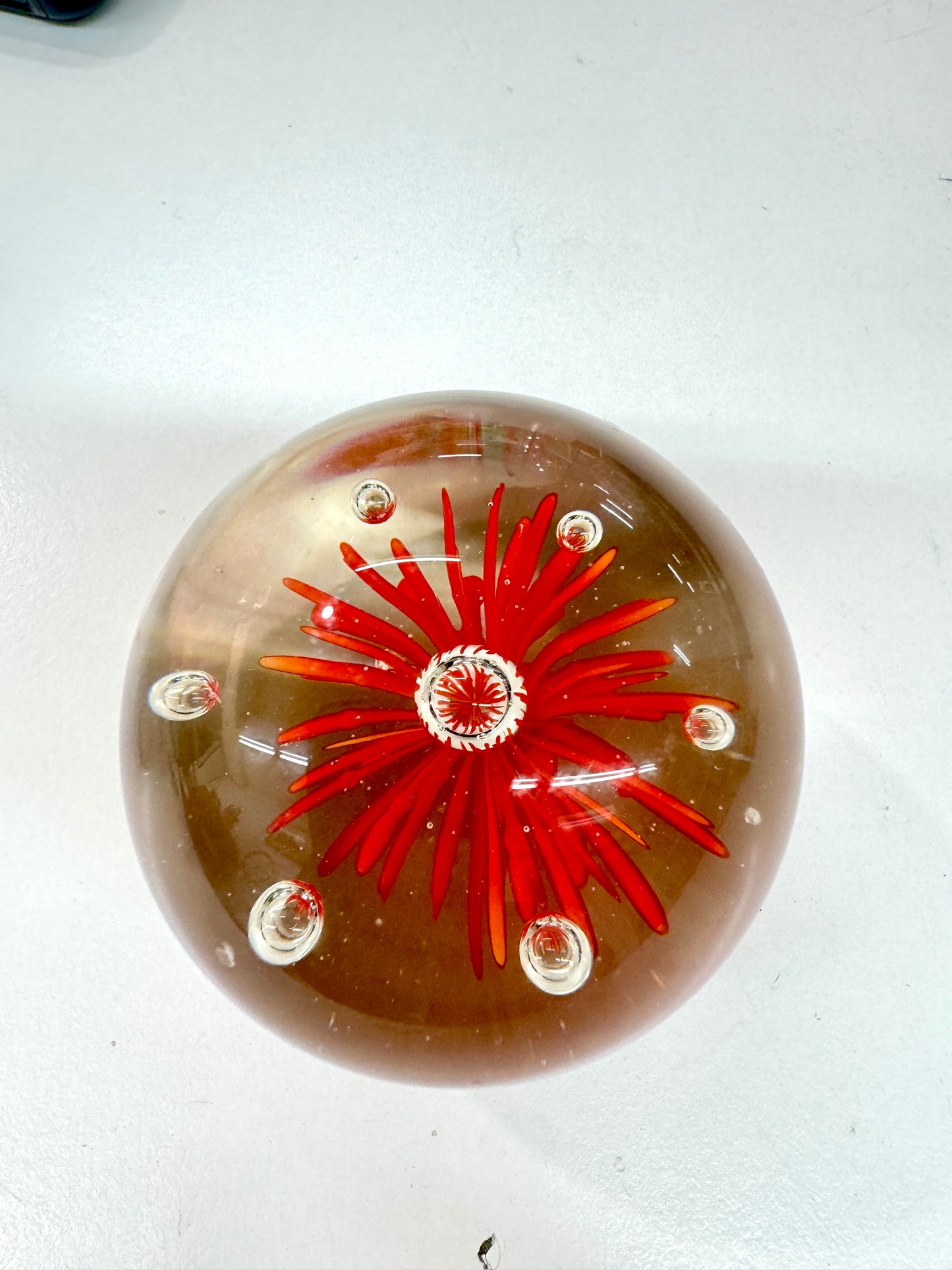 Orange Seagrass hand blown art glass paperweight, red flower