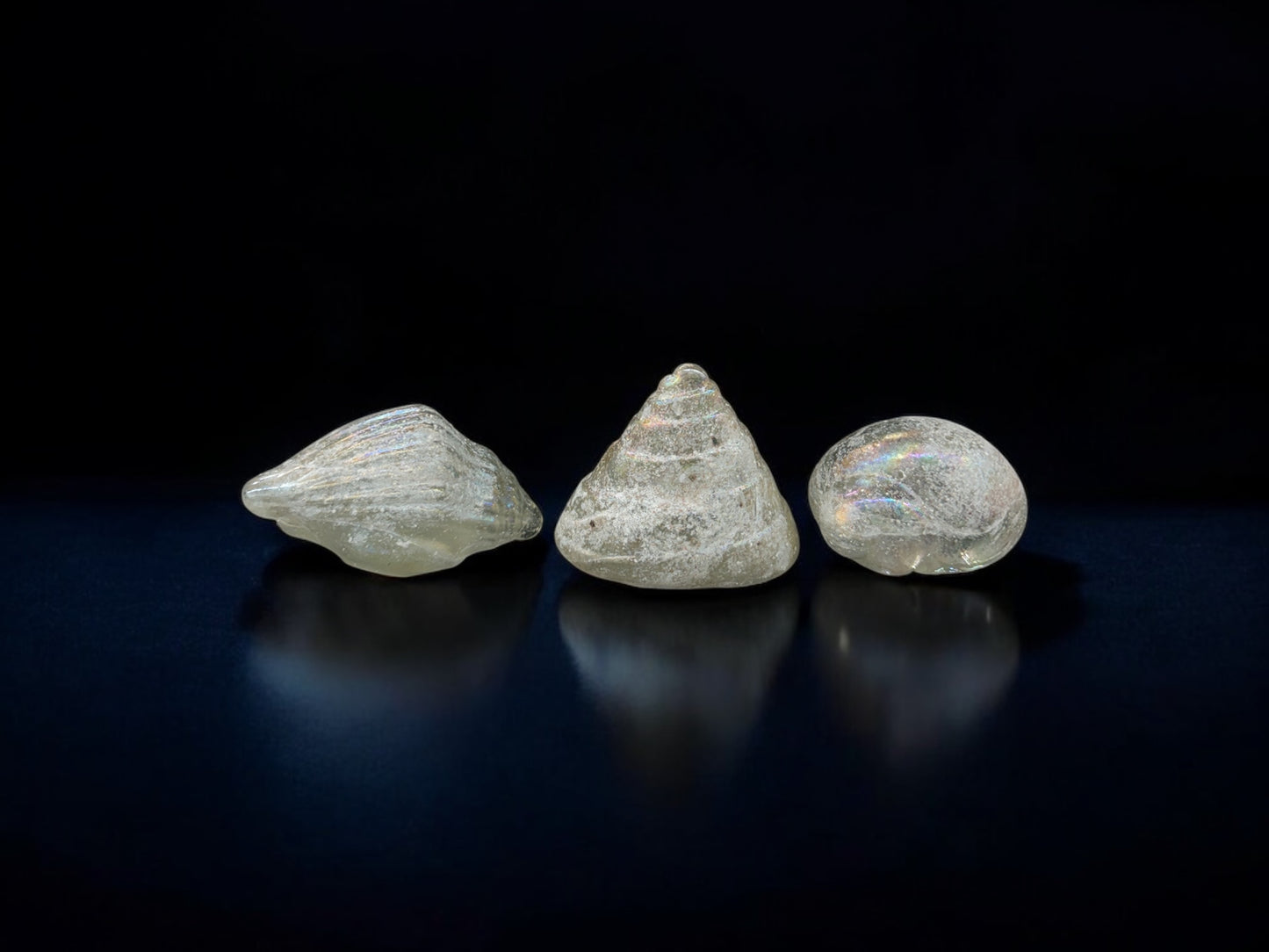 Group of 3 glass shell
