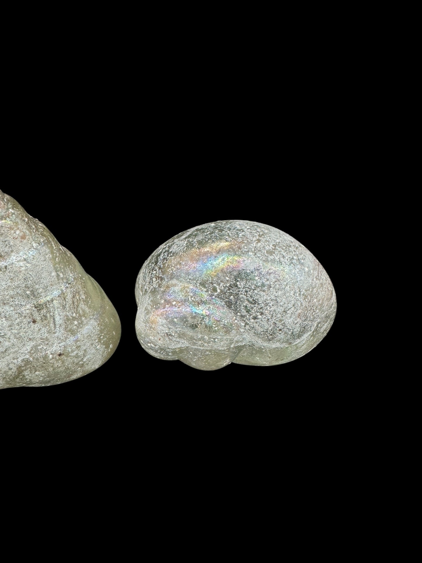 Group of 3 glass shell