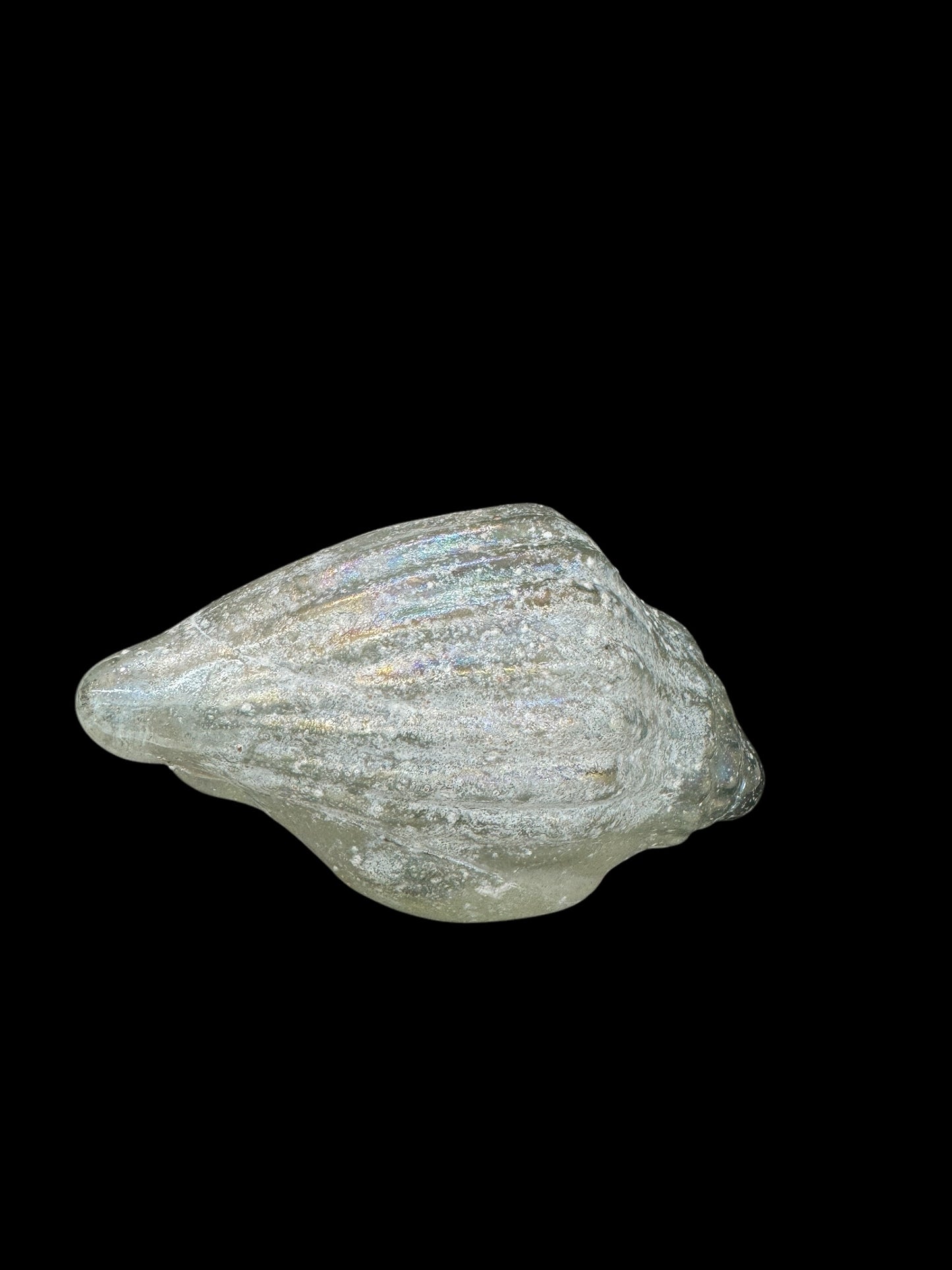 Group of 3 glass shell