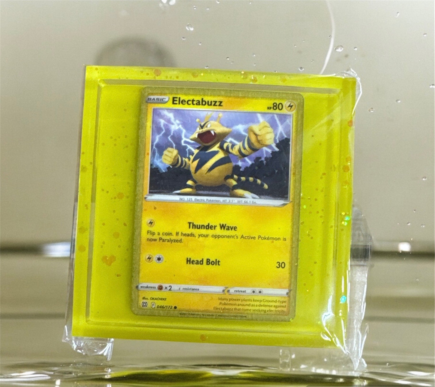 Pokemon Coaster