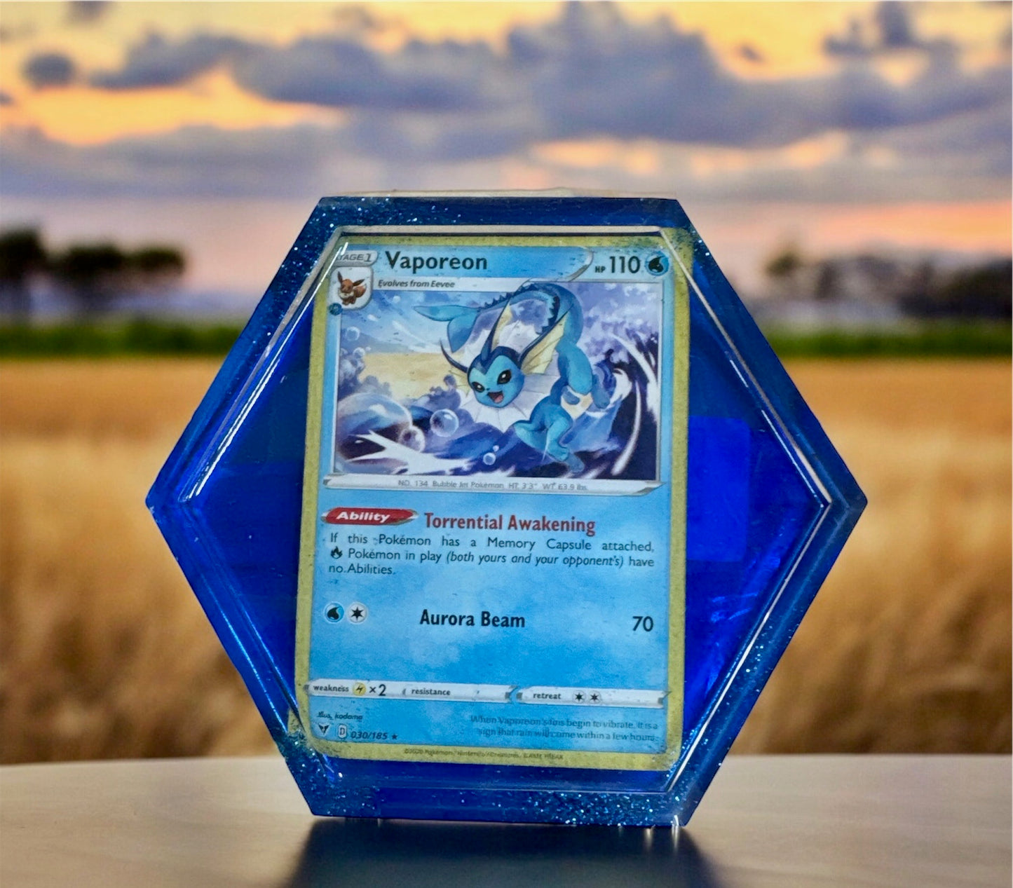Pokemon Coaster