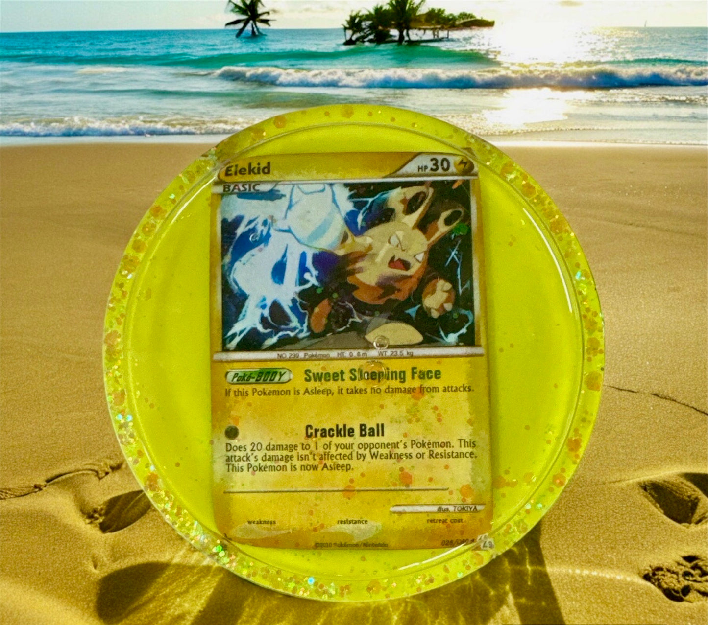 Pokemon Coaster