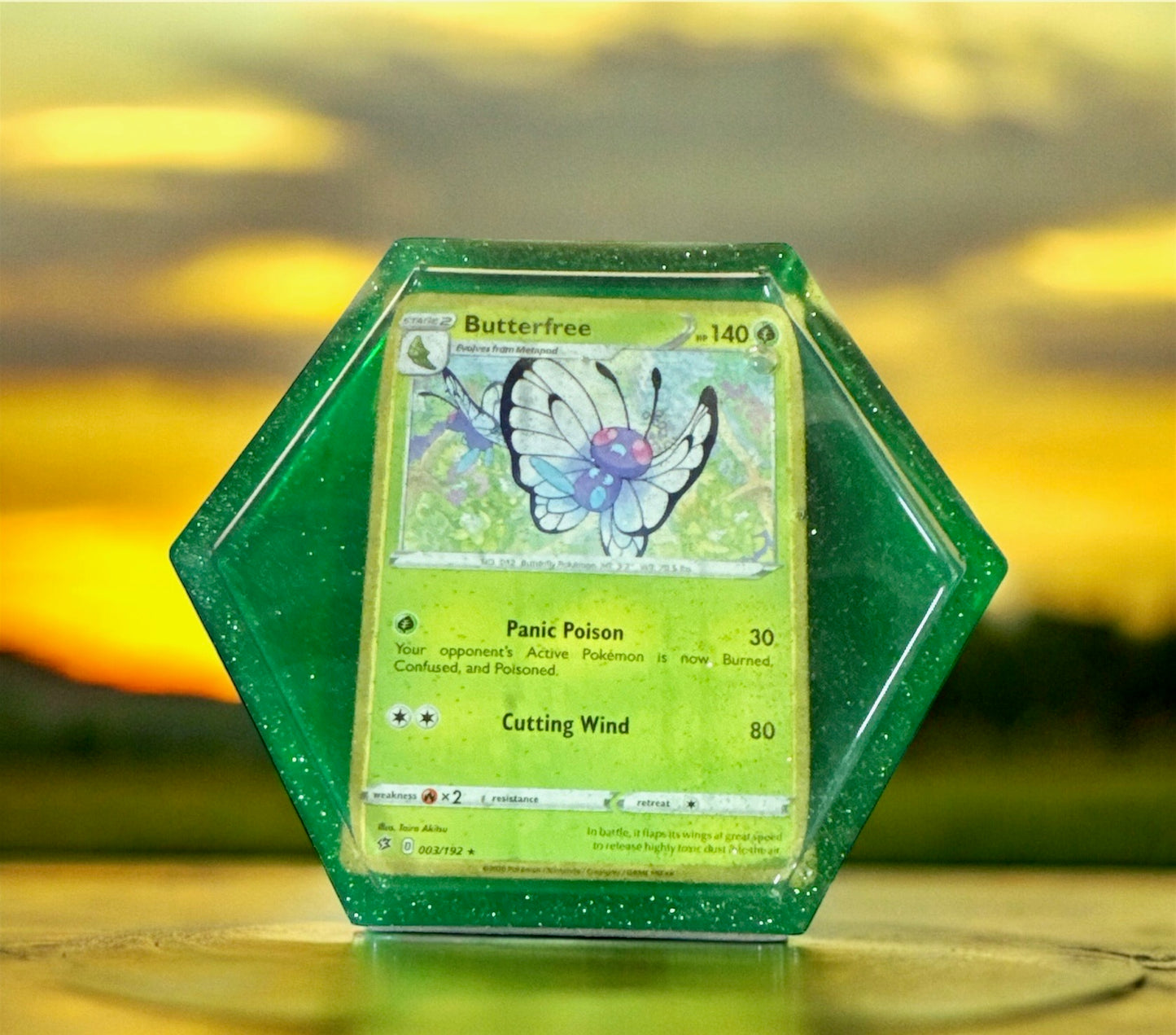 Pokemon Coaster
