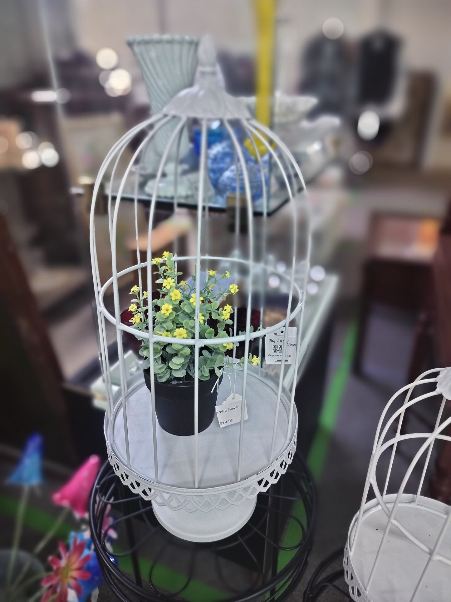 Cage with stand Lge