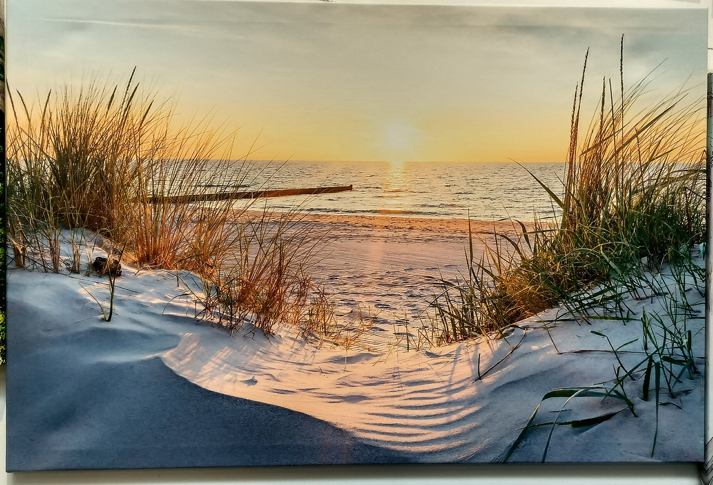 CANVAS PRINTS. Size 24"x16"