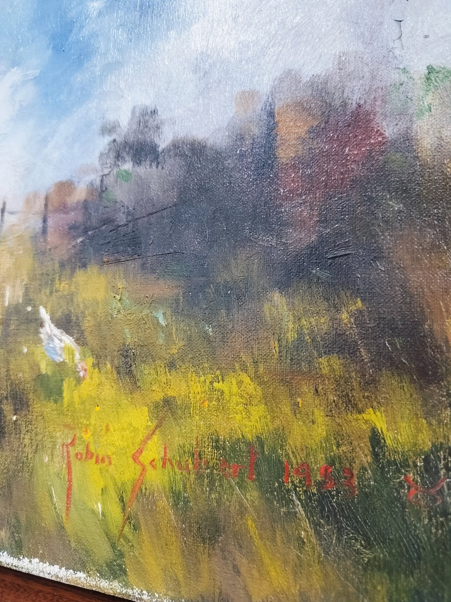 Robin Schubert "Landscape"