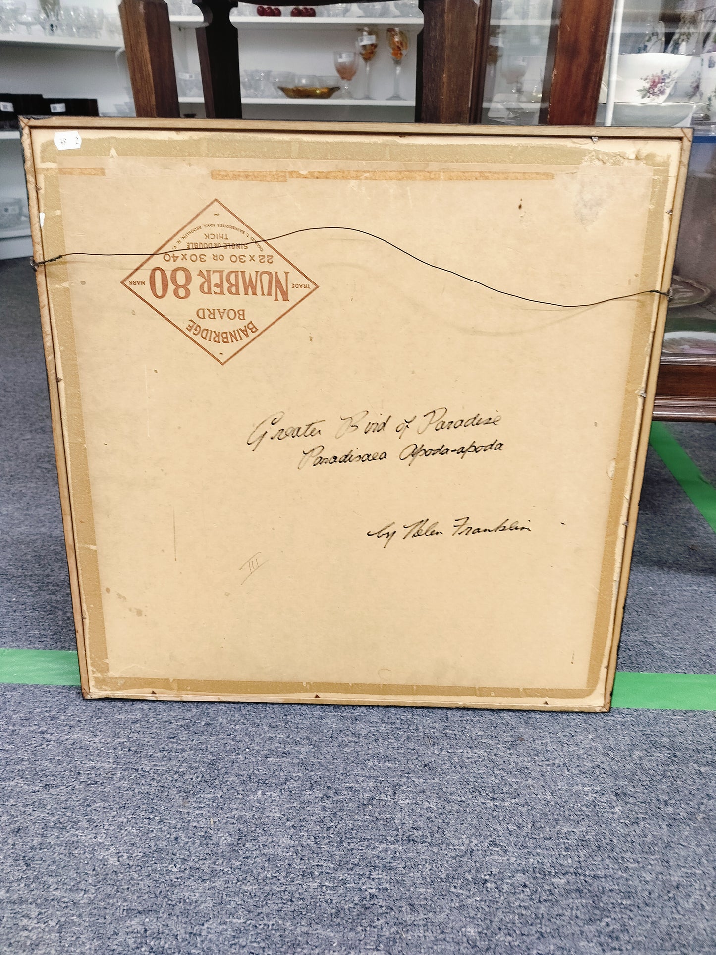 Signed Bird of Paradise