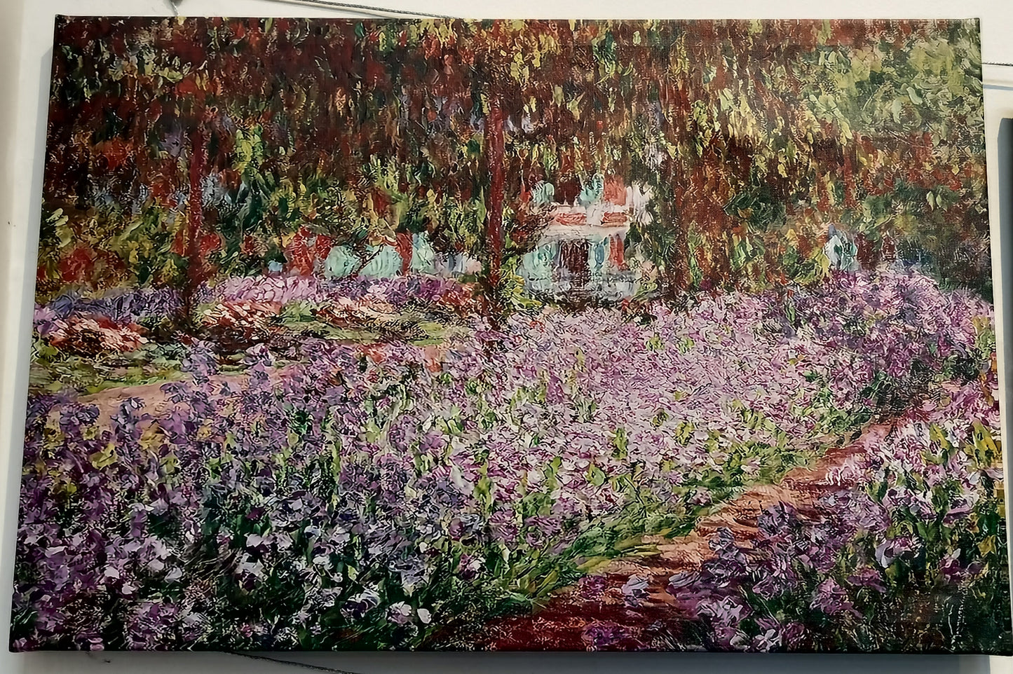 CANVAS PRINTS. Size 24"x16"