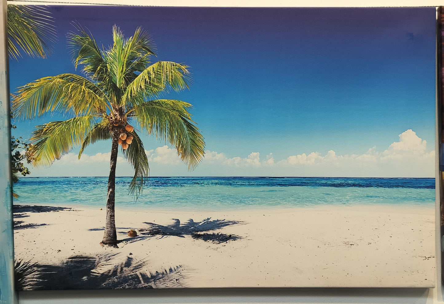 CANVAS PRINTS. Size 24"x16"