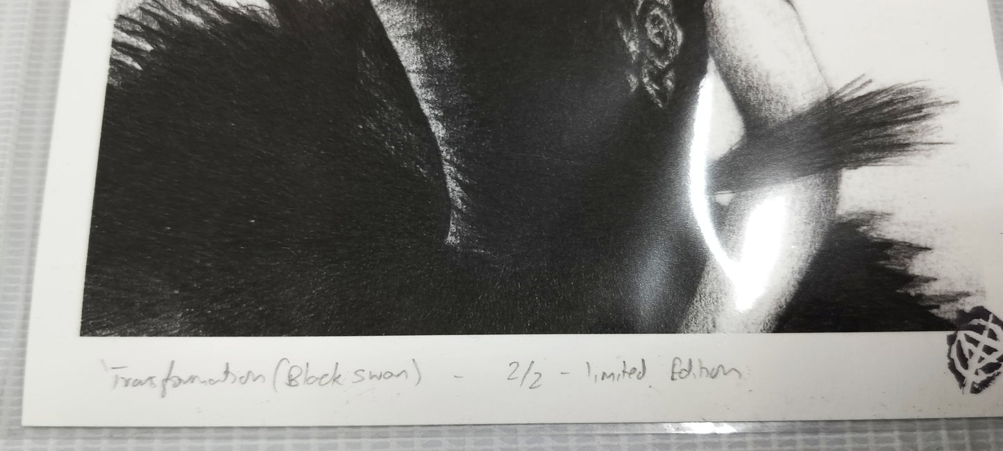 Transformation Black Swan- Limited Edition-A5