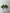 5x Enamelled draw knobs
