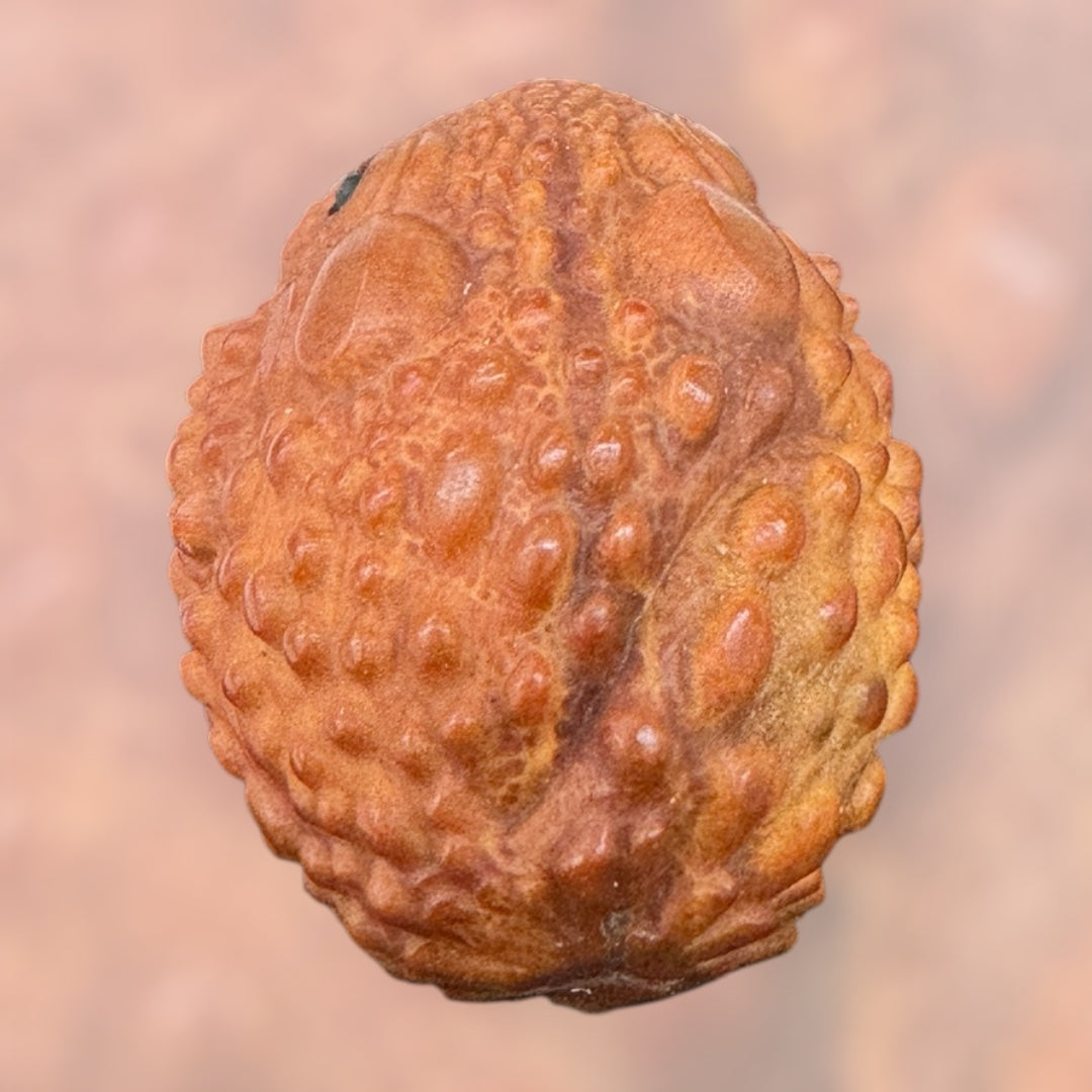 Olive Nut Carved 3 Legged Toad Statue,garden decor