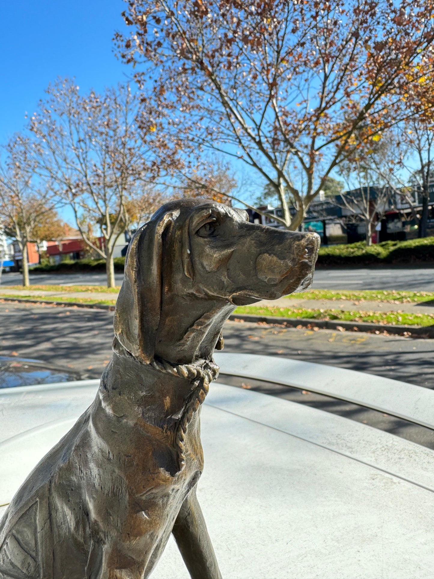 The Setter, Bronze Sculpture