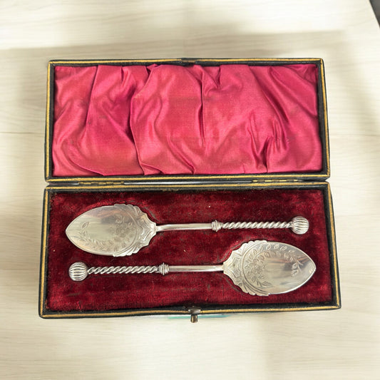 Antique Silver Spoons in Box