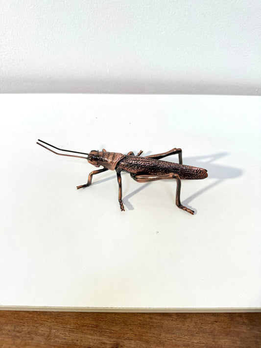 Bronze Grasshopper Medium