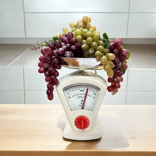 Dulton Kitchen Scale