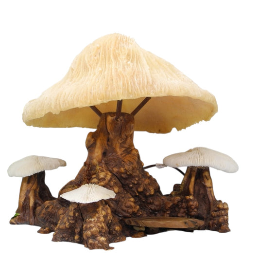1960s Magical Mashroom Coral Lamp with Burlwood Base