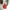 Royal Doulton Flower Of Love 1996/1997