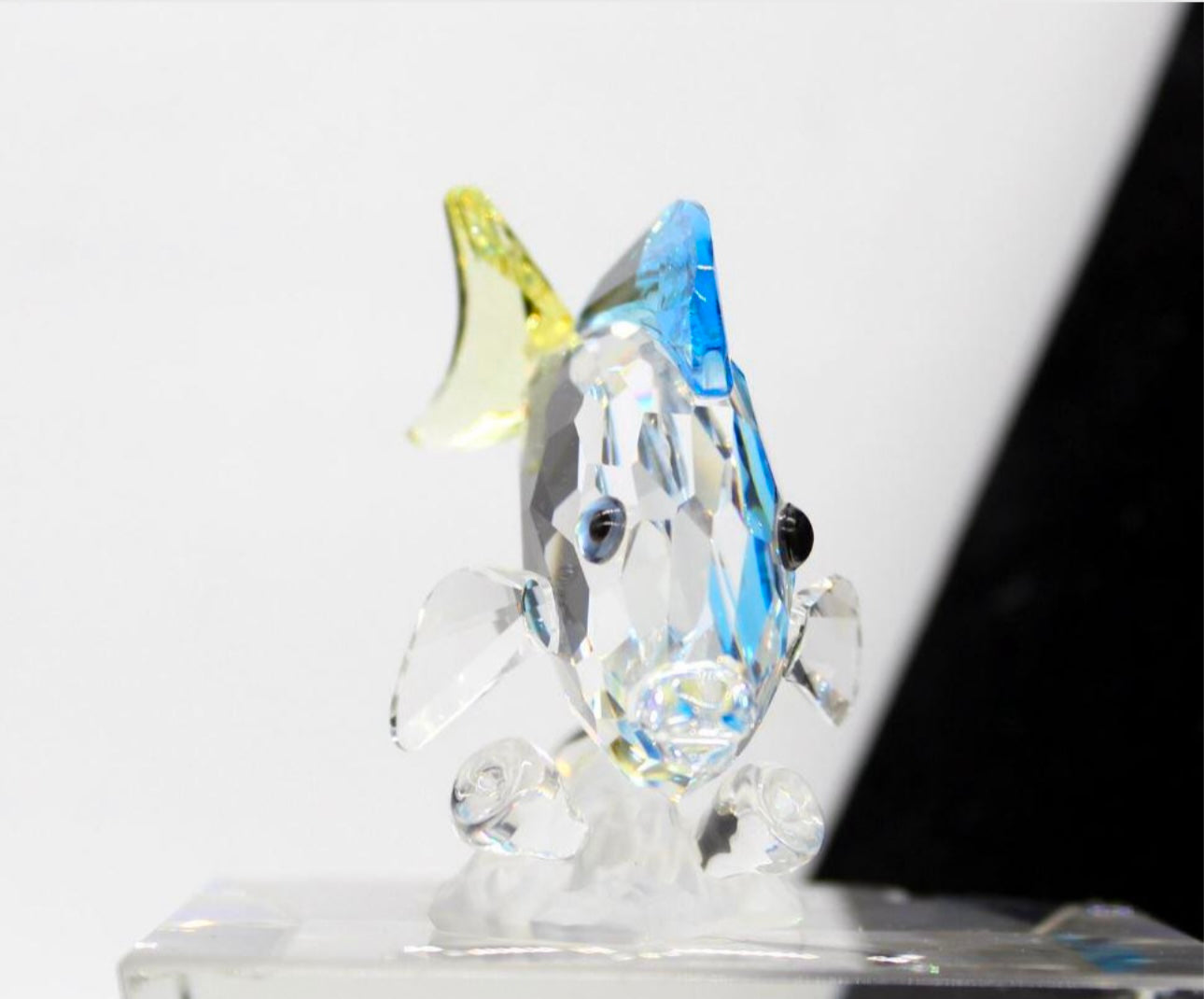 Swarovski Crystal Blue Tang Fish W/t Box
