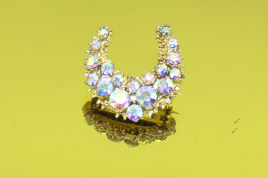 Horseshoe diamond Brooch