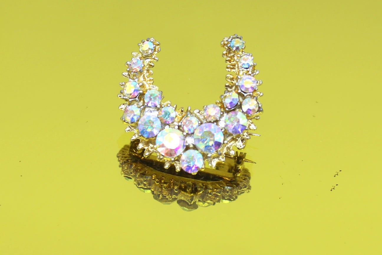 Horseshoe diamond Brooch