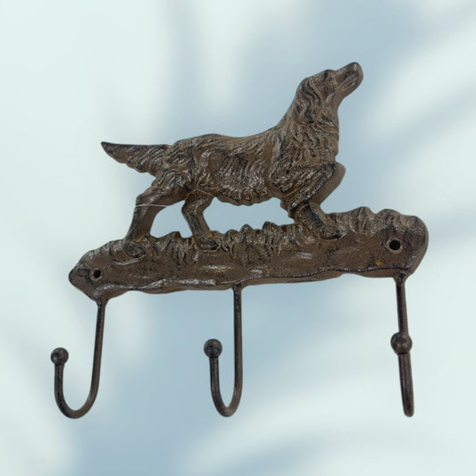 Dog Walking Hook