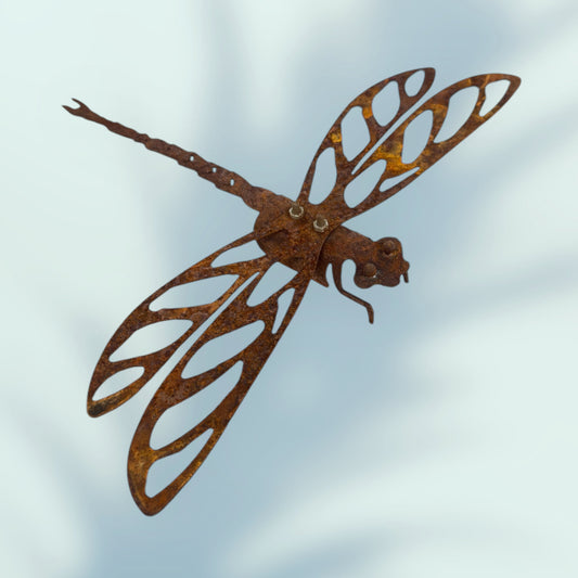 Rust Dragonfly S