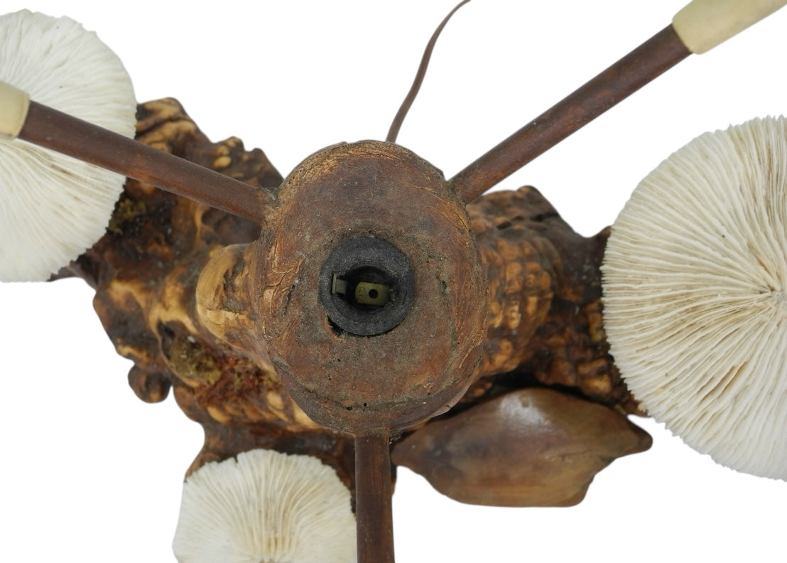 1960s Magical Mashroom Coral Lamp with Burlwood Base