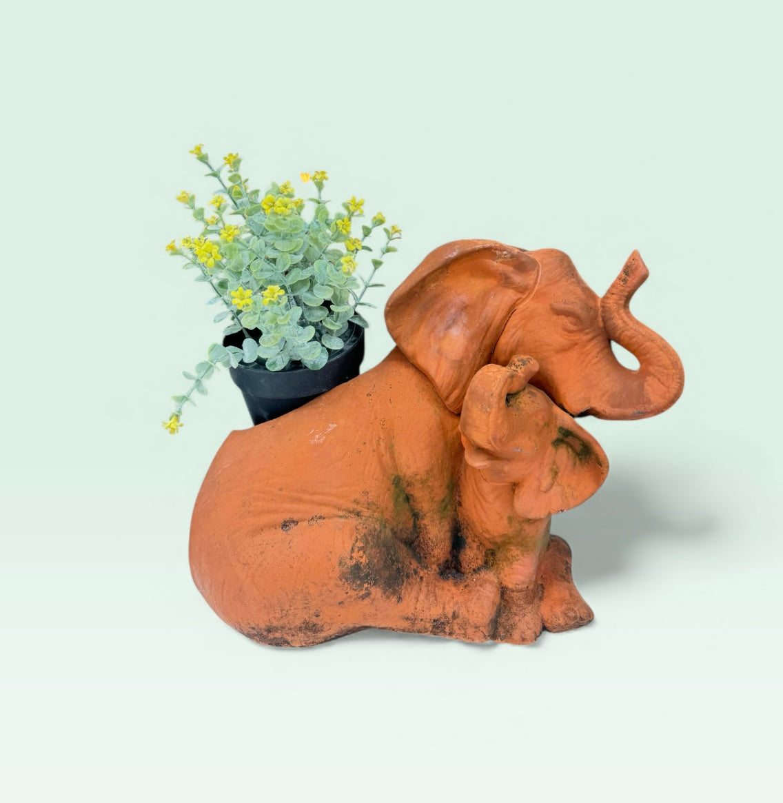 Terracotta Elephant Planter