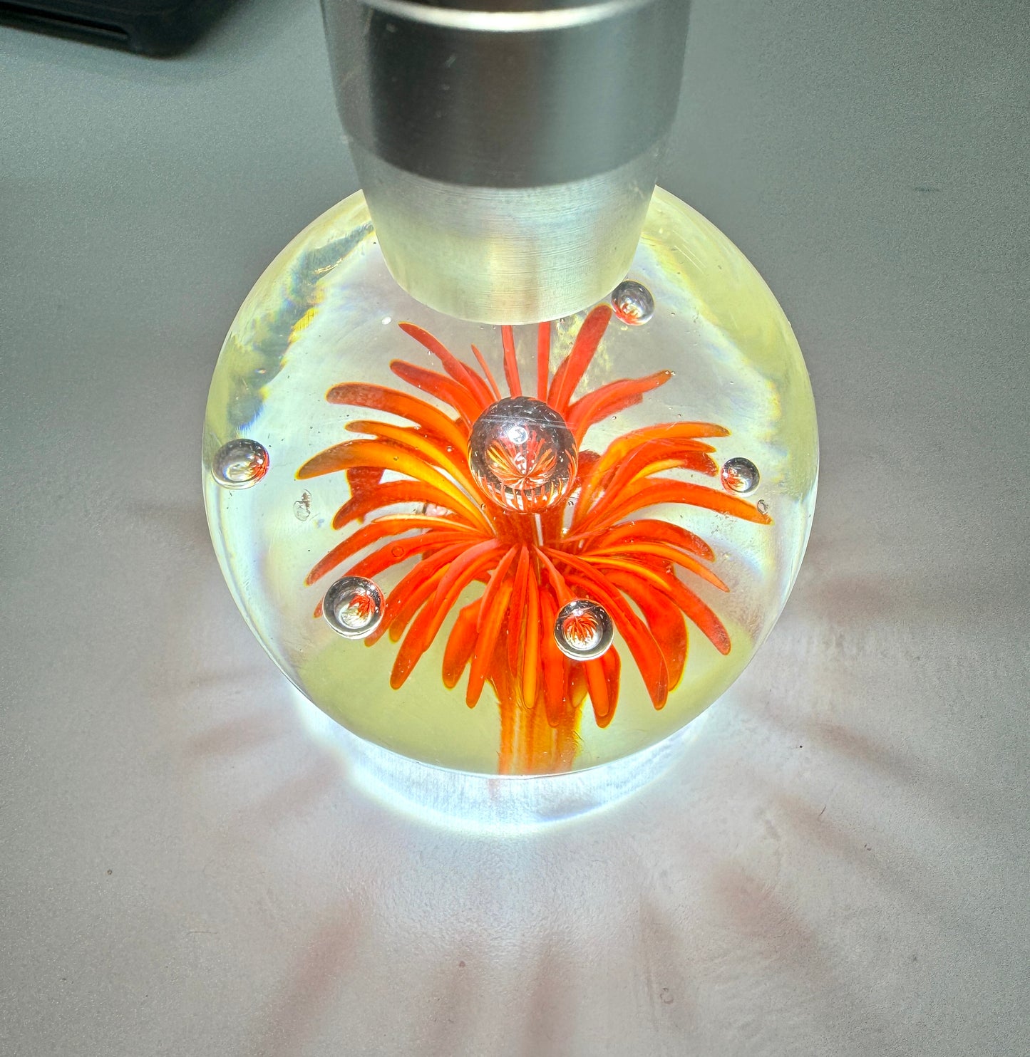 Orange Seagrass hand blown art glass paperweight, red flower