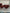 6x Anchor Hocking Red Boopie Sherbet, Home Bar