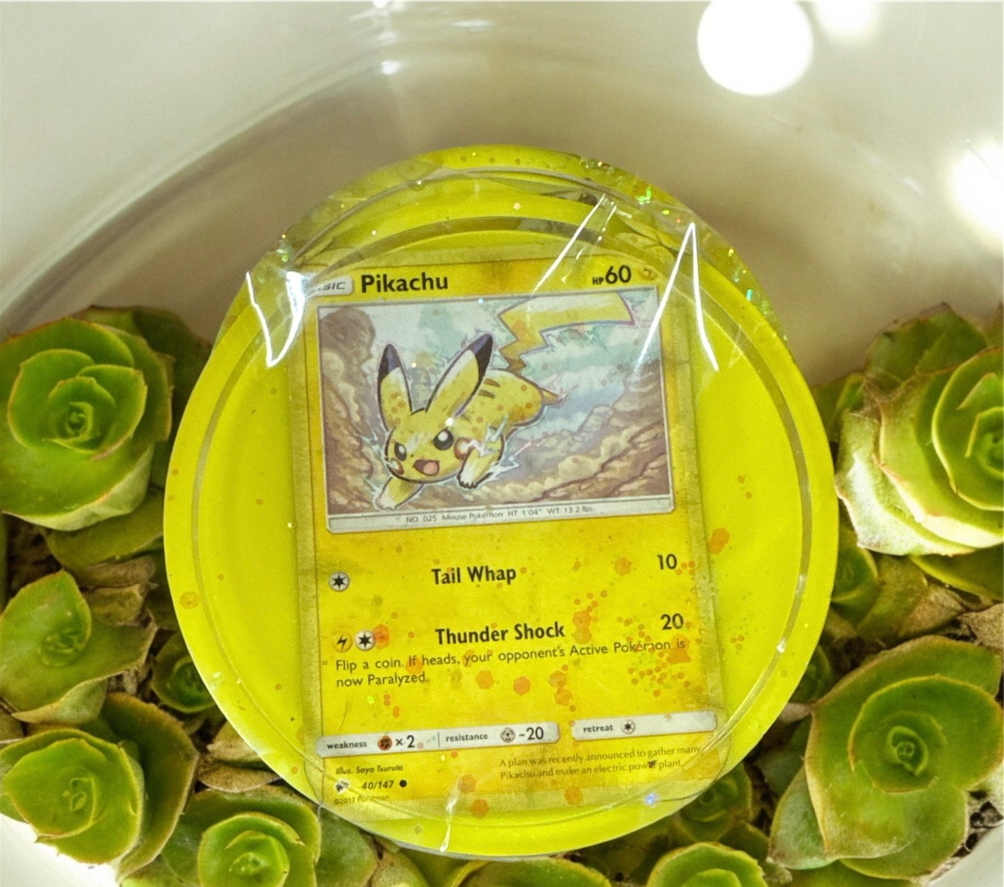 Pokemon Coaster