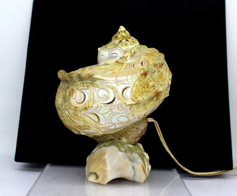 Asian Shell Lamp Antique Oriental Carved turban Pearl Shell Lamp with Dragon and Phoeni ...