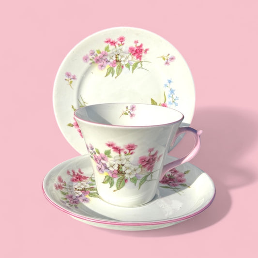 Shelley New Cambridge shape Stocks pattern tea trio,1940-1960’s