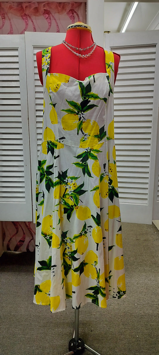 Hearts + Roses ,Lemons hatter neds cotton dress, size-14